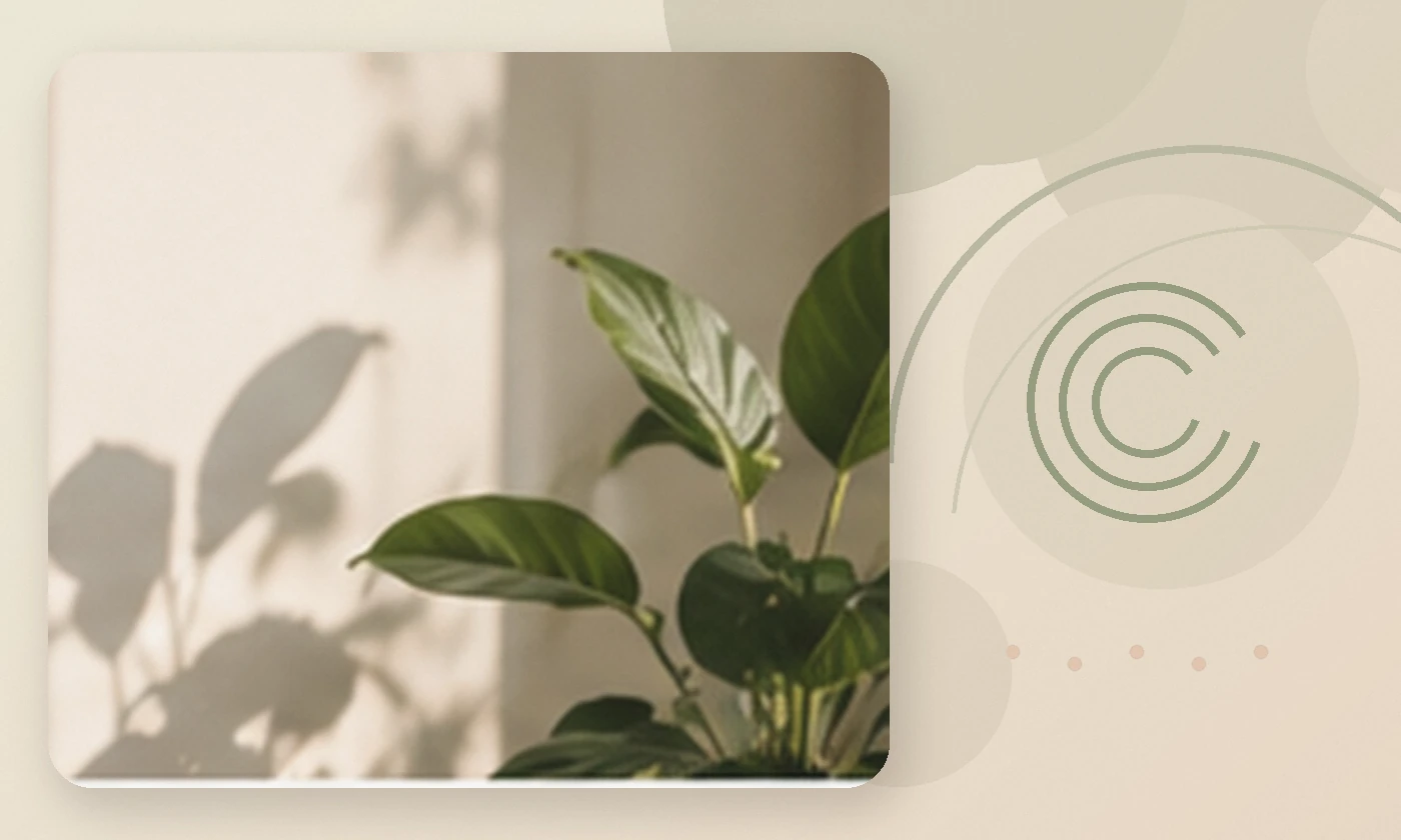 Warm, calming editorial illustration inspired by improving sleep plant quiet bedroom, accompanying the article Guiding the Way to Better Sleep and Restful Nights