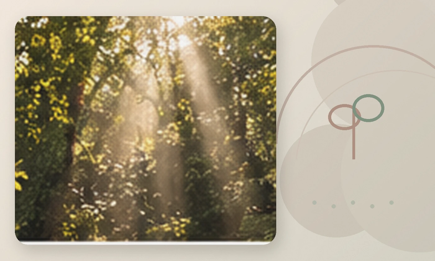 Warm, calming editorial illustration inspired by staying motivated therapy nature forest light, accompanying the article How to recognize toxic therapy and how it can harm you significantly: watch out for these signs