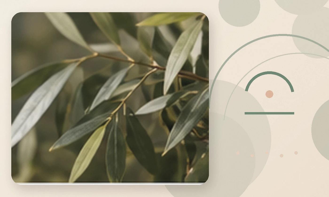 Warm, calming editorial illustration inspired by mindfulness practices soft olive tree leaves, accompanying the article Mental Health Issues faced by Pilots: How to cope