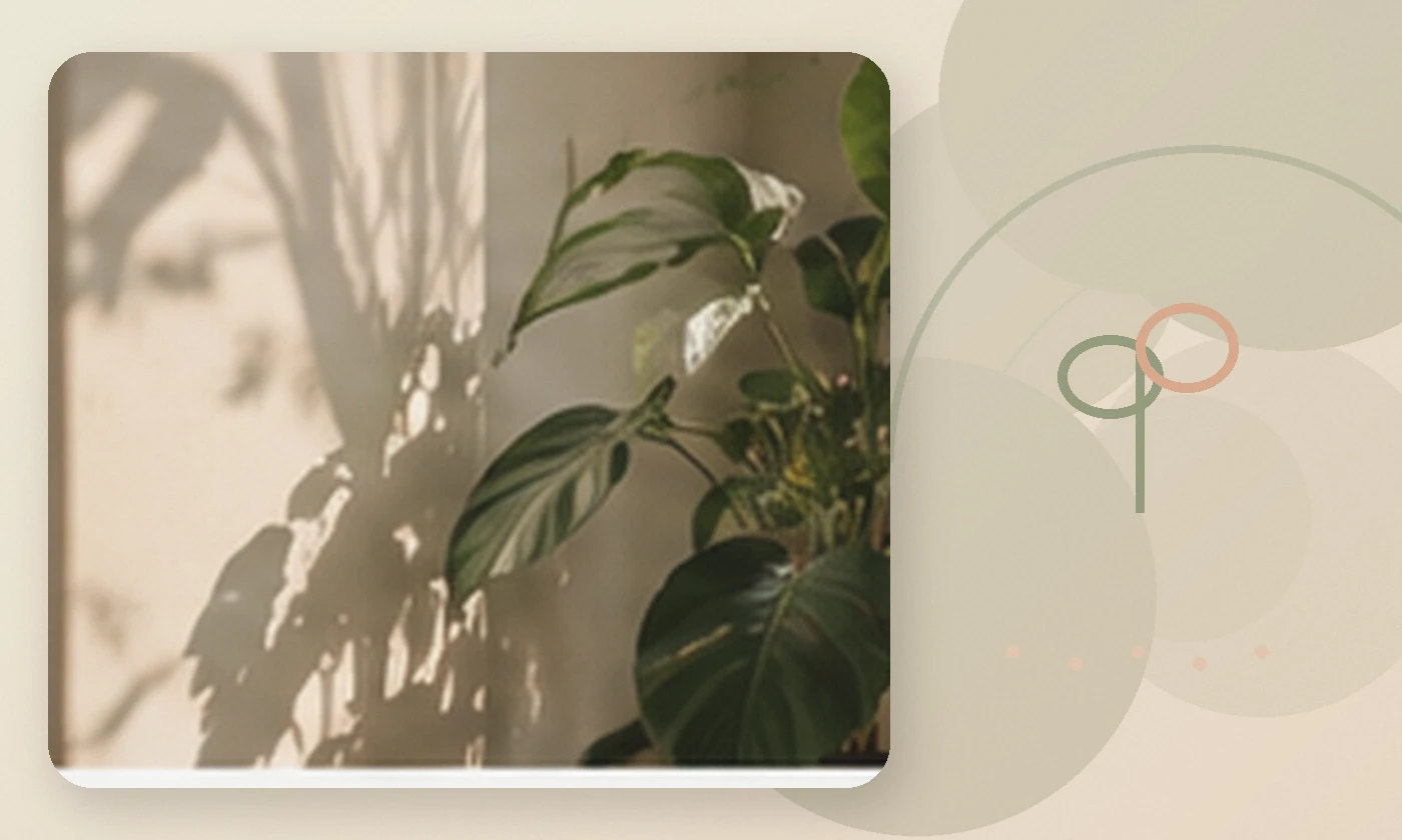 Warm, calming editorial illustration inspired by trauma healing sunlit green leaves, accompanying the article The mental health effects of victims of terrorism: How to cope